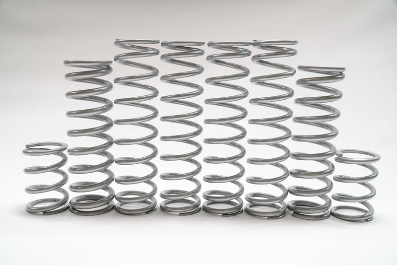 Load image into Gallery viewer, Shock Therapy Dual Rate Spring Kit (DRS) for Polaris RZR Turbo R
