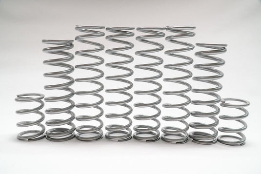 Shock Therapy Dual Rate Spring Kit (DRS) for Polaris RZR Turbo R
