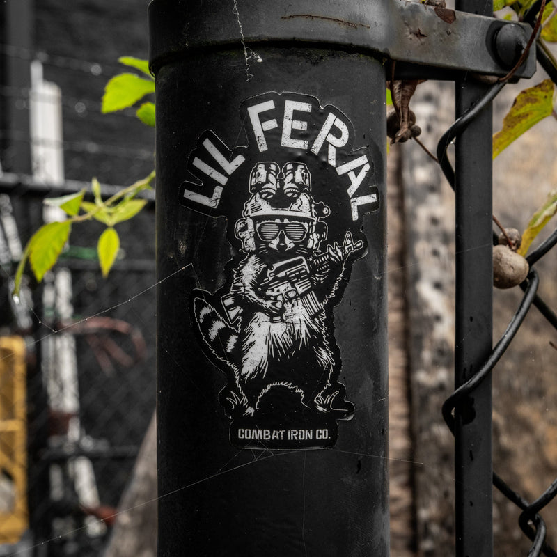 Load image into Gallery viewer, Lil Feral Racoon Decal
