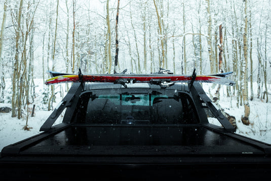Ski/Snowboard Mount (Set of 2)
