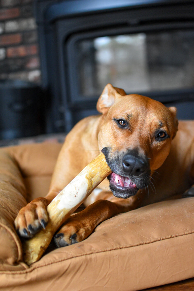 Load image into Gallery viewer, Original Chew
