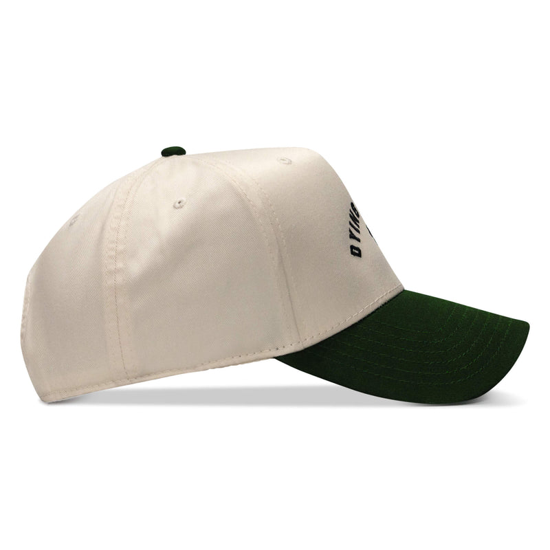 Load image into Gallery viewer, Dying Is Easy Classic Snapback Hat
