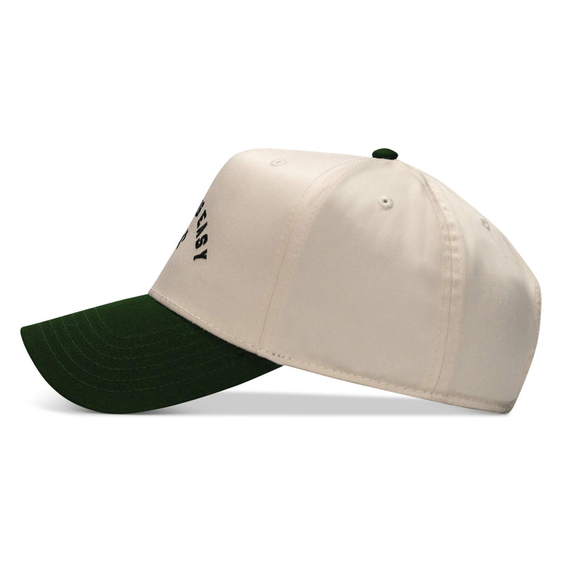 Load image into Gallery viewer, Dying Is Easy Classic Snapback Hat
