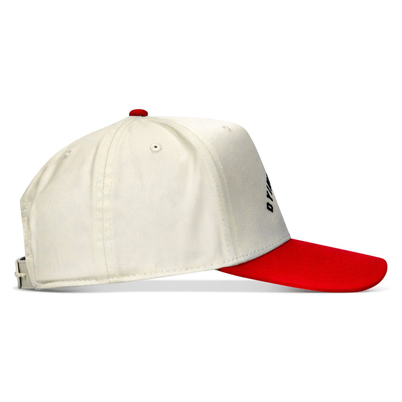 Load image into Gallery viewer, Dying Is Easy Classic Snapback Hat
