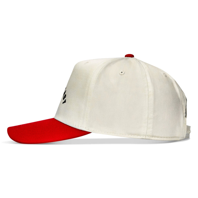 Load image into Gallery viewer, Dying Is Easy Classic Snapback Hat
