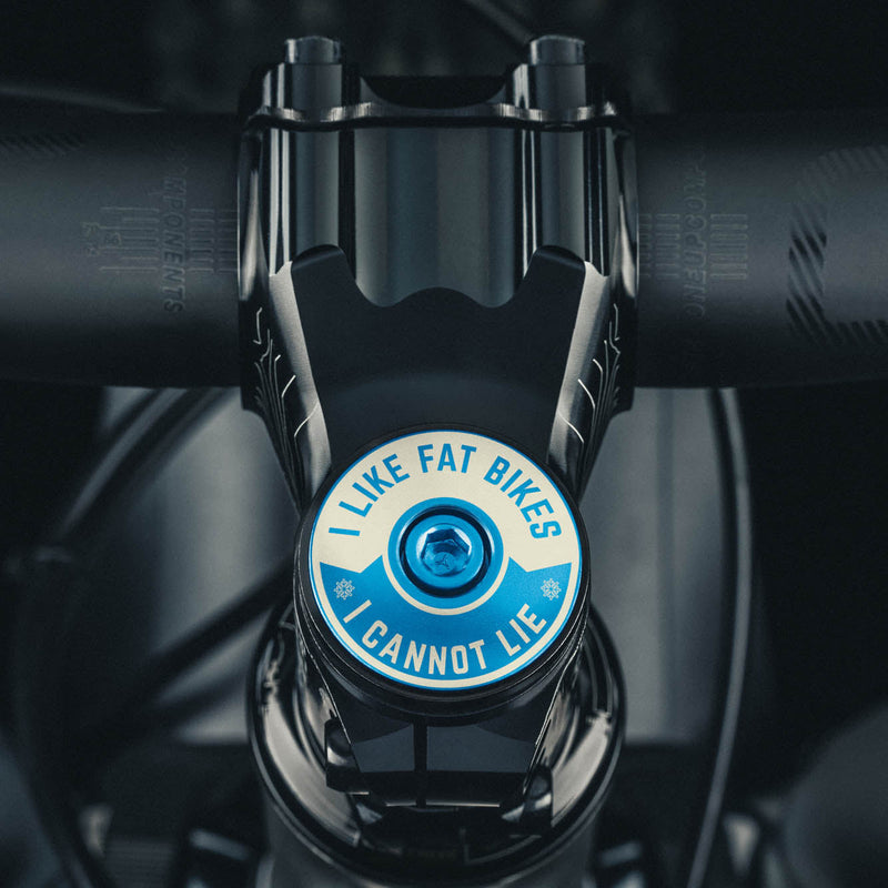 Load image into Gallery viewer, I Like Fat Bikes &amp; I Cannot Lie Bicycle Headset Cap
