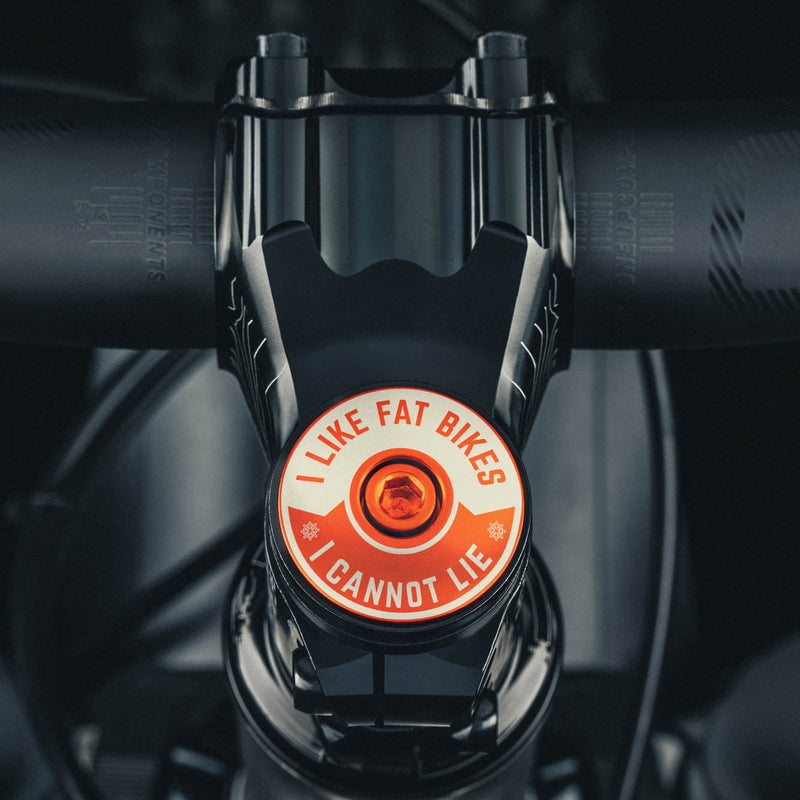 Load image into Gallery viewer, I Like Fat Bikes &amp; I Cannot Lie Bicycle Headset Cap
