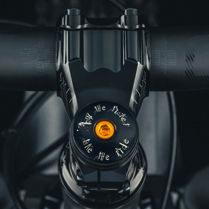 Load image into Gallery viewer, Buy The Ticket Take The Ride Bicycle Headset Cap

