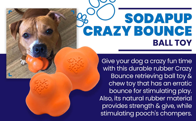 Load image into Gallery viewer, Crazy Bounce Rubber Dog Chew Toy for Power Chewers | Retrieving Ball | USA Made

