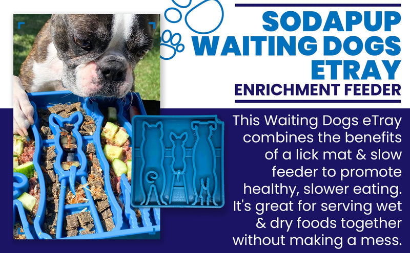 Load image into Gallery viewer, Waiting Dogs eTray - Shallow Slow Feeder Bowl for Enrichment | USA Made
