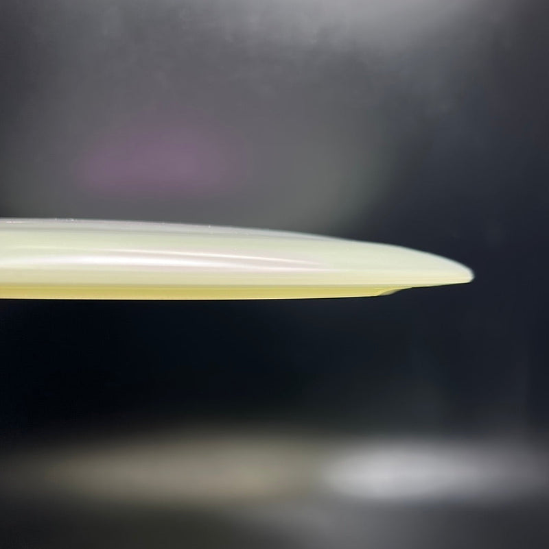 Load image into Gallery viewer, Champion Glow Tern
