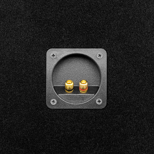 PANCADAO Ported Box with 2 X 10" Mid-Bass PRO-1.5KP10.4 Loaded