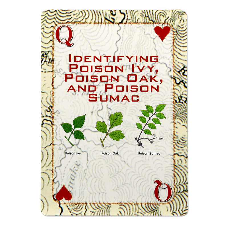 Load image into Gallery viewer, Deck of Survival Playing Cards
