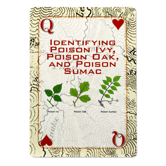 Deck of Survival Playing Cards