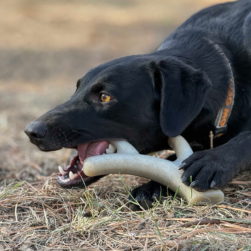 Load image into Gallery viewer, Ever Antler Nylon Chew Bone | Elk Antler Shaped Dog Toy for Aggressive Chewers | SodaPup
