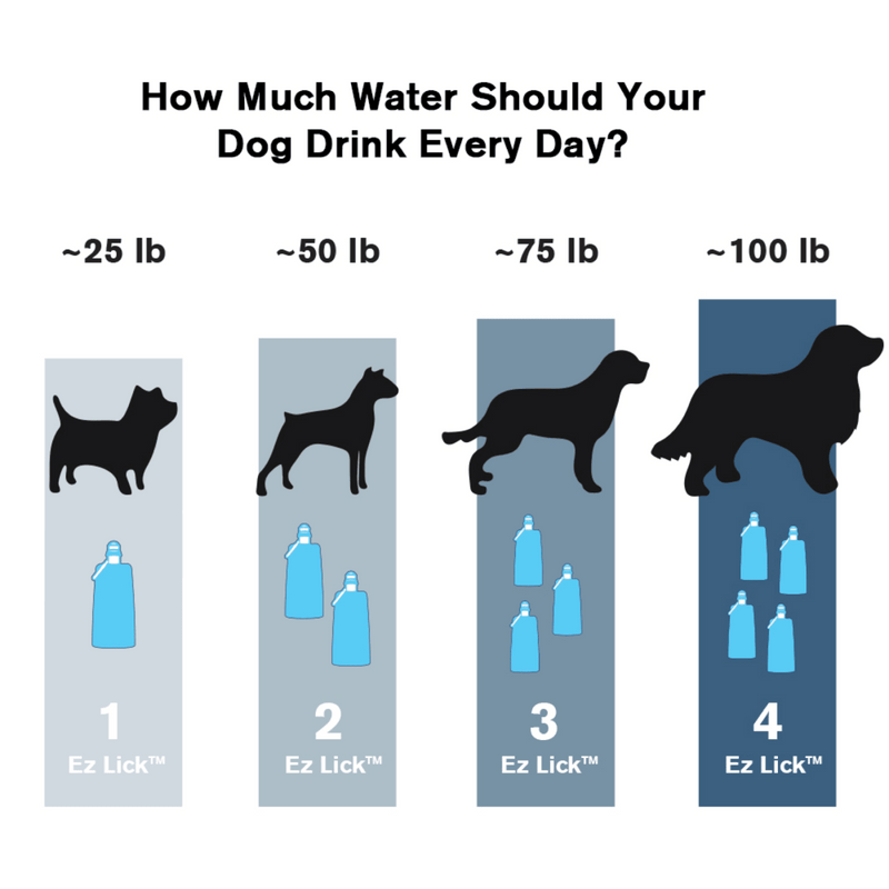 Load image into Gallery viewer, Vapur® EZ Lick™ Portable Dog Water Bottle
