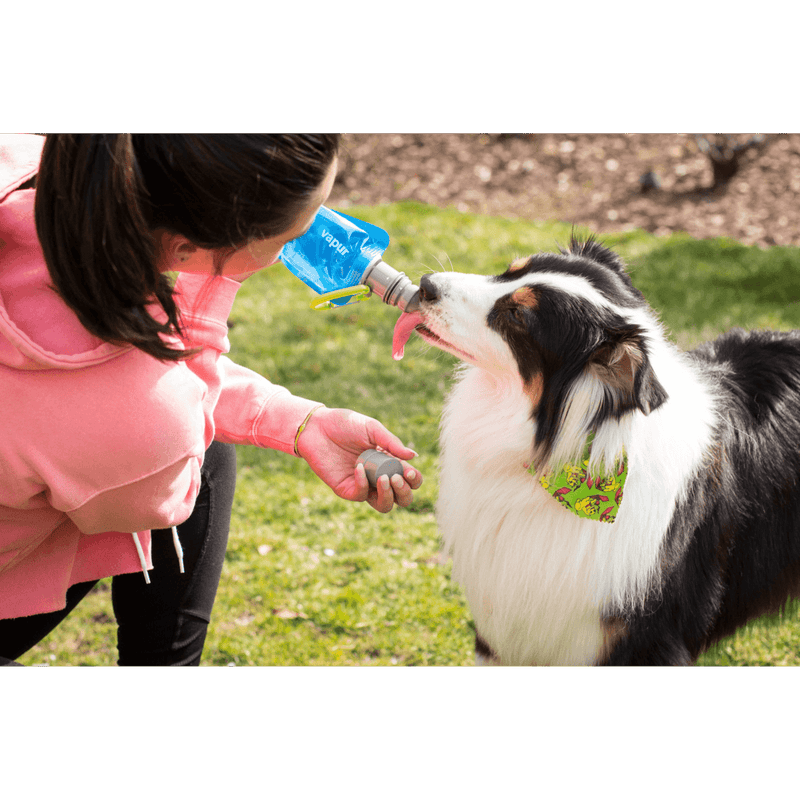 Load image into Gallery viewer, Vapur® EZ Lick™ Portable Dog Water Bottle
