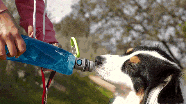 Load image into Gallery viewer, Vapur® EZ Lick™ Portable Dog Water Bottle
