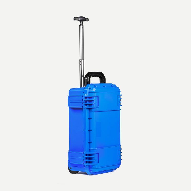 Load image into Gallery viewer, Seahorse 830
