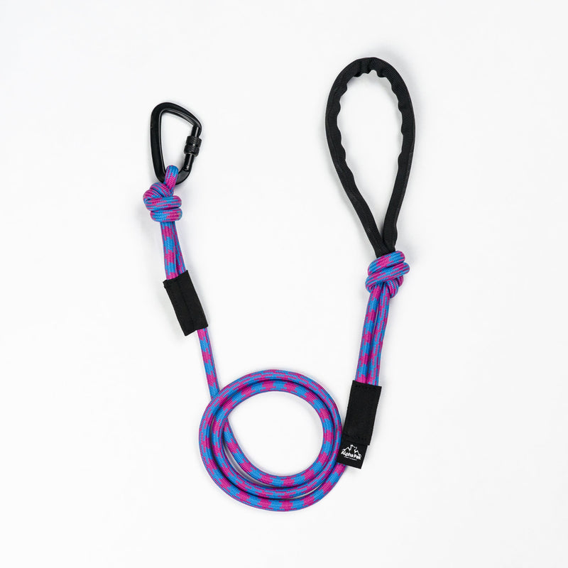 Load image into Gallery viewer, 10MM Adventure Kernmantle Rope Dog Leash
