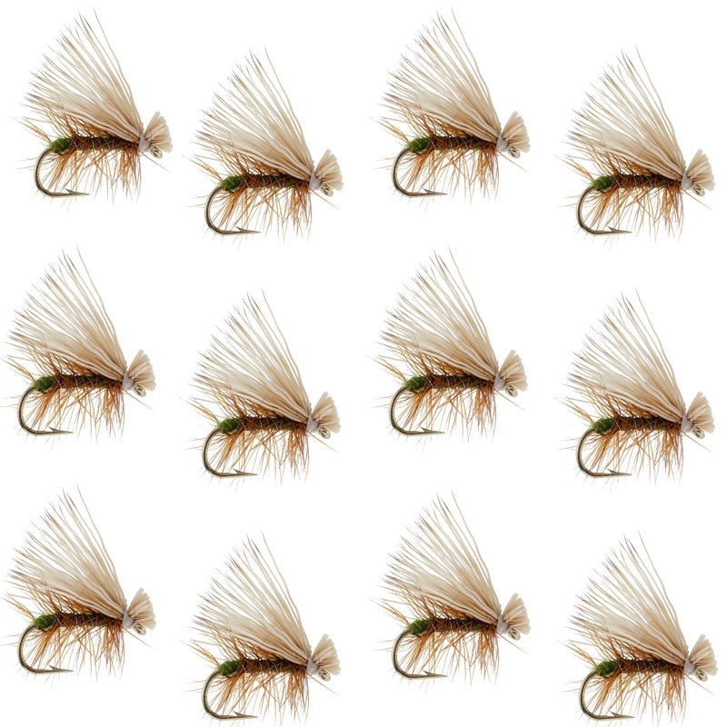 Load image into Gallery viewer, Olive Elk Hair Caddis Classic Trout Dry Fly - Set of 12 Flies Size 12 `
