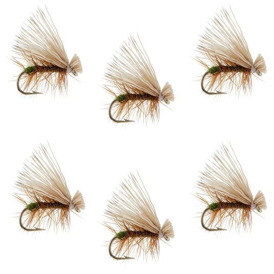 Olive Elk Hair Caddis Classic Trout Dry Fly - Set of 6 Flies Size 14