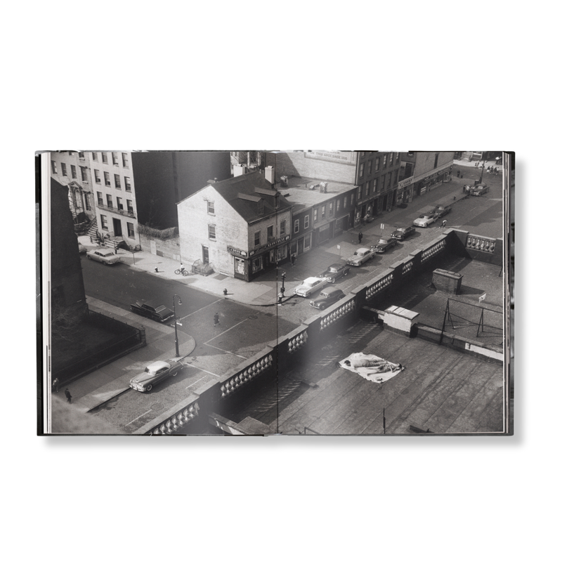 Load image into Gallery viewer, Elliott Erwitt&#39;s New York
