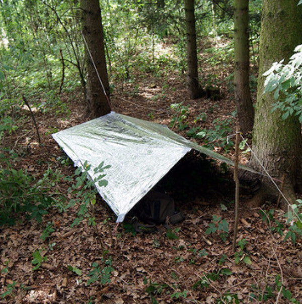 Load image into Gallery viewer, Emergency Survival Blankets - 2 Pack
