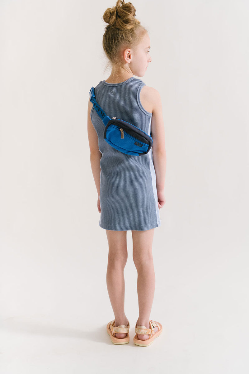 Load image into Gallery viewer, Fanny Pack in Blue
