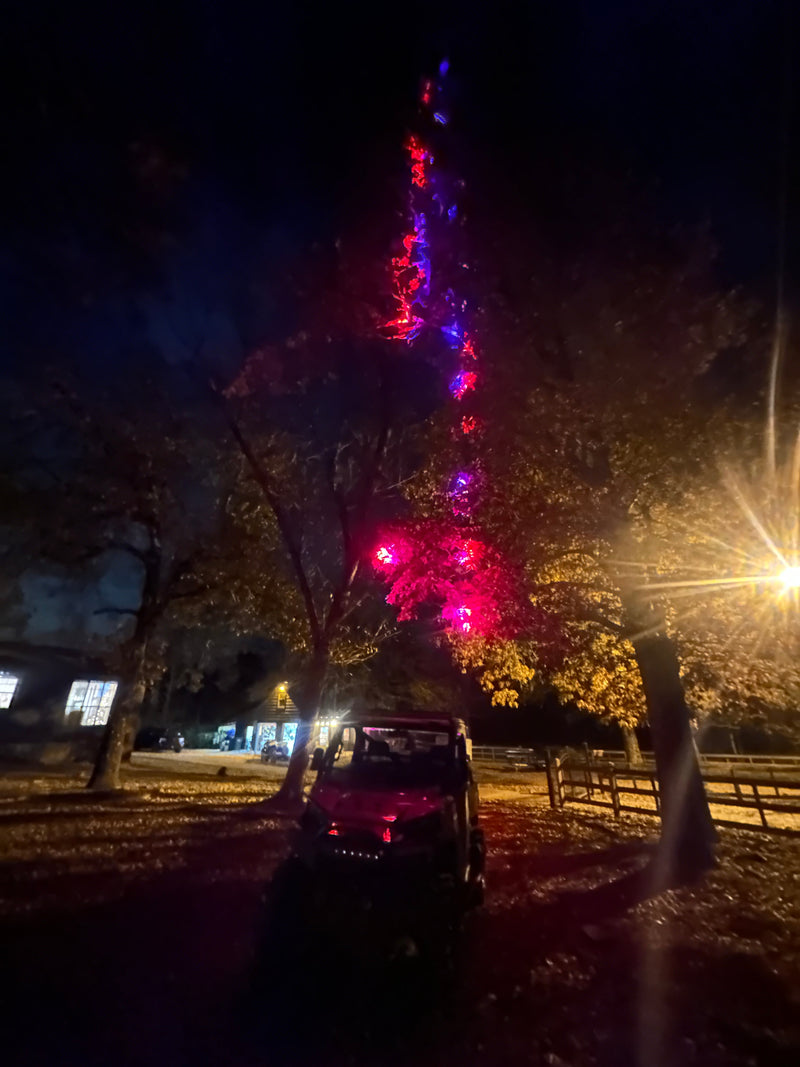 Load image into Gallery viewer, Marshin Whips: RGB Lunar Laser Light Kit
