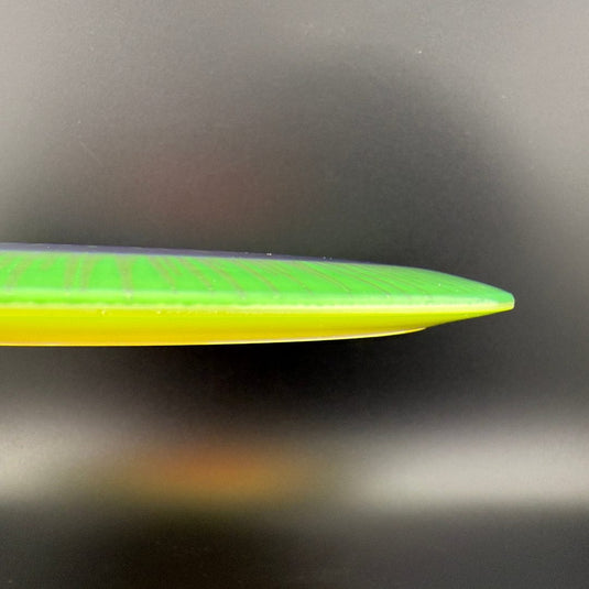 I-Dye Champion SL (Starfire-L) - Penned Run - F2