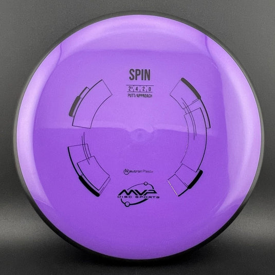 Neutron Spin