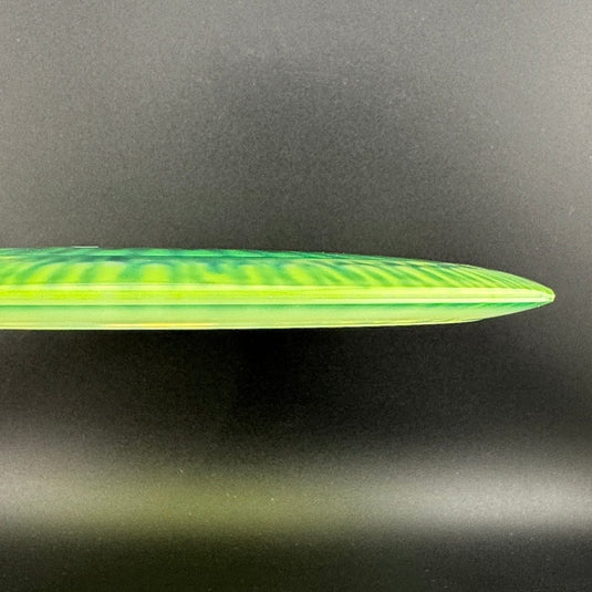 I-Dye Champion Roadrunner