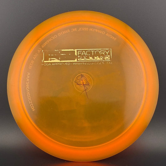 Champion Valkyrie (Penned) - F2 - Lightweight