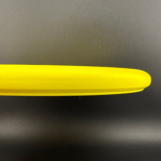D-Line P2x (Flex 2) - Gannon Buhr Huk Lab Collaboration