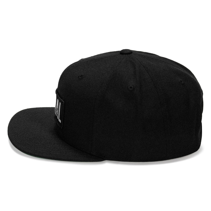 Load image into Gallery viewer, Feral Patch Flatbill Snapback Hat
