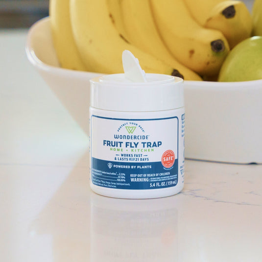 (2 Pack) Fruit Fly Trap for Home + Kitchen with Natural Essential Oils