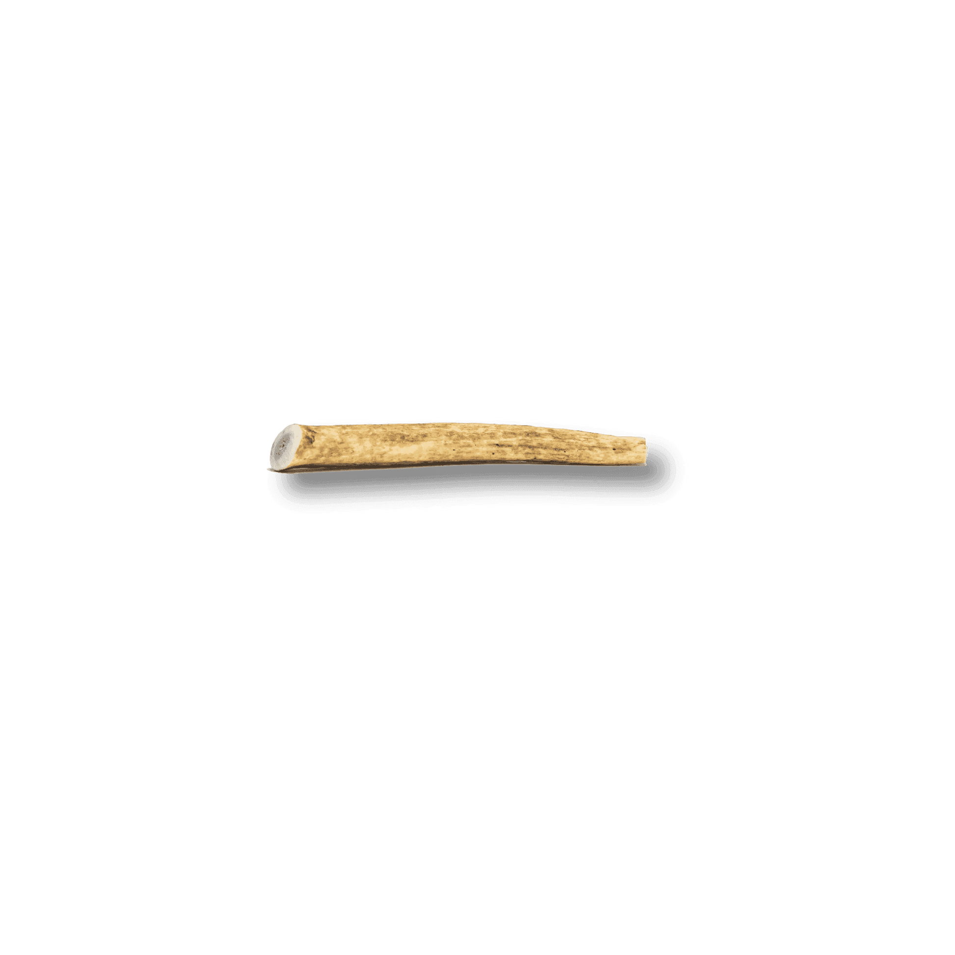 Whole Elk Antlers for Dogs - Skoutley Outdoors LLC