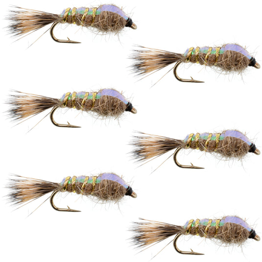 Classic Weighted Flashback Gold Ribbed Hares Ear Nymph - Set of 6 Flies - Size 16