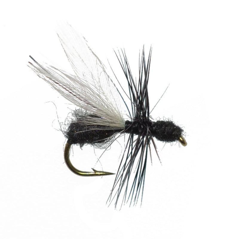 Load image into Gallery viewer, Trout Fly Assortment - Premium Terrestrial Flies - 24 Essential Hoppers, Ants and Beetles with Fly Box
