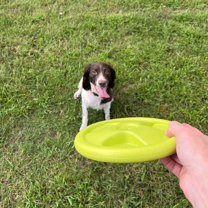 Load image into Gallery viewer, Harley Flyer Frisbee
