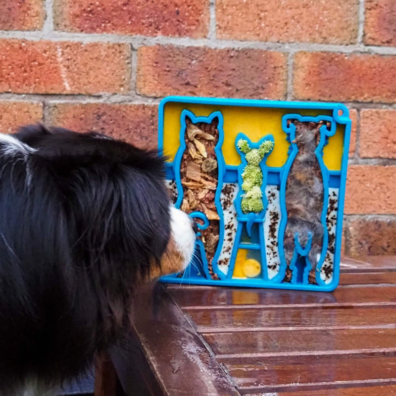 Load image into Gallery viewer, Waiting Dogs eTray - Shallow Slow Feeder Bowl for Enrichment | USA Made
