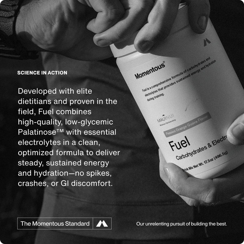 Load image into Gallery viewer, Fuel
