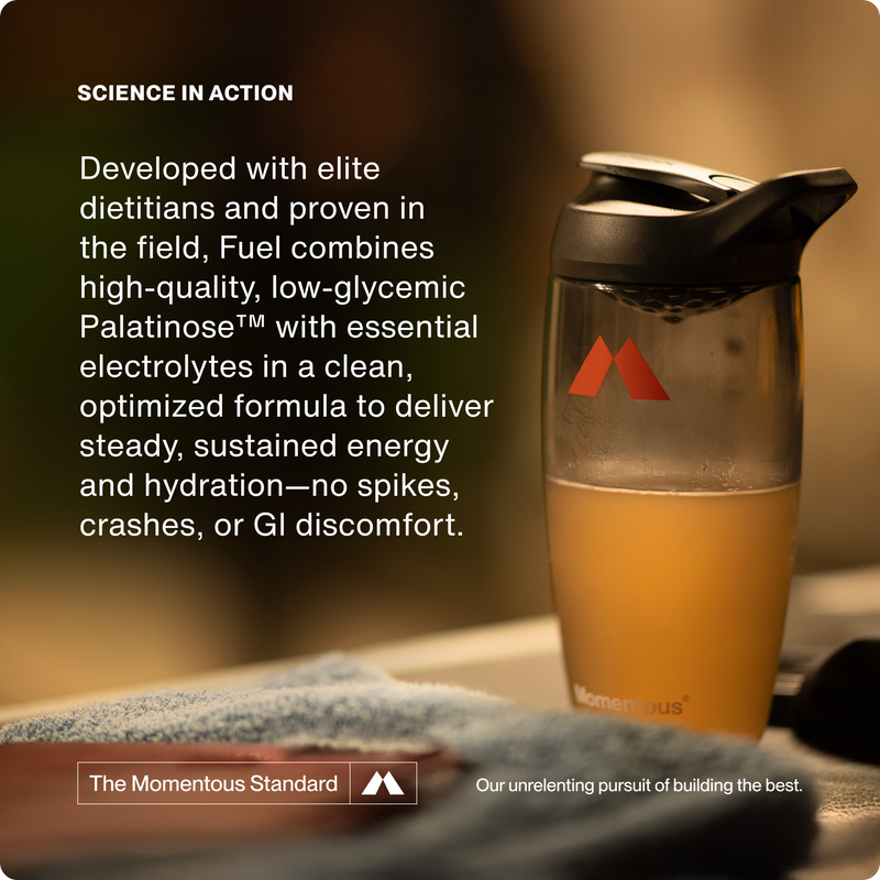 Load image into Gallery viewer, Fuel 10-Travel Packs
