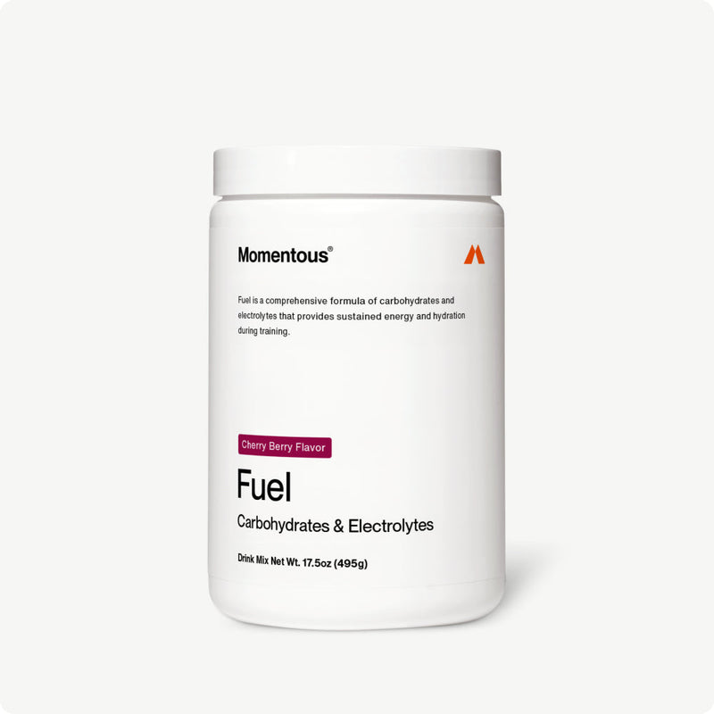 Load image into Gallery viewer, Fuel
