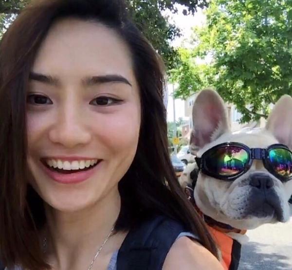 Load image into Gallery viewer, K9 Sport Shades - Dog Goggles
