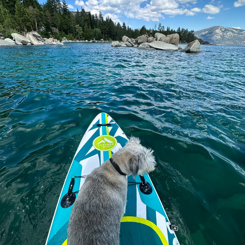 Load image into Gallery viewer, 11'3 Podium Turquoise
