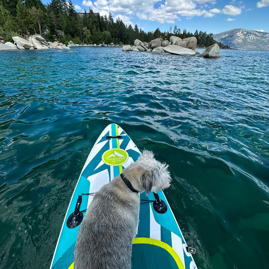 11'3 Podium Turquoise