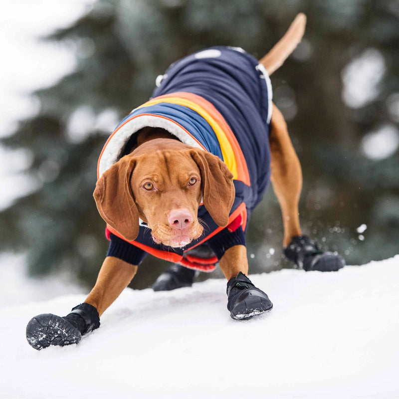 Load image into Gallery viewer, Elasto-Fit Dog Boots - Black
