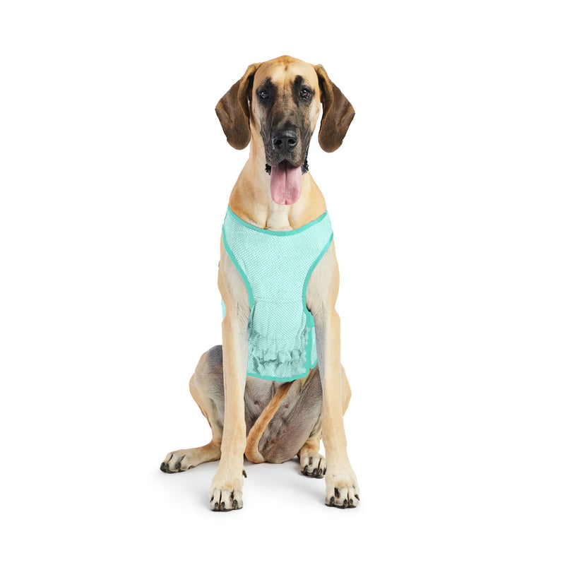 Load image into Gallery viewer, Elasto-Fit Ice Vest - Aqua
